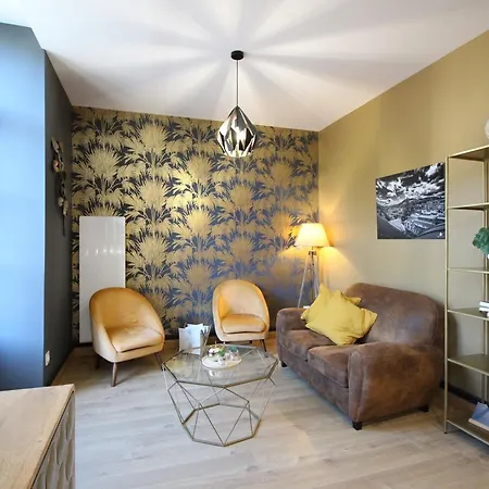 Apartment T2 Avec Wifi Pres Des Thermes La Bourboule